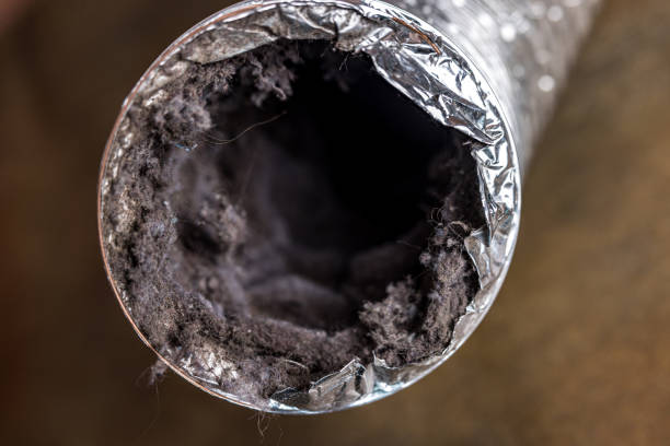Best General Air Duct Cleaning  in Appomattox, VA